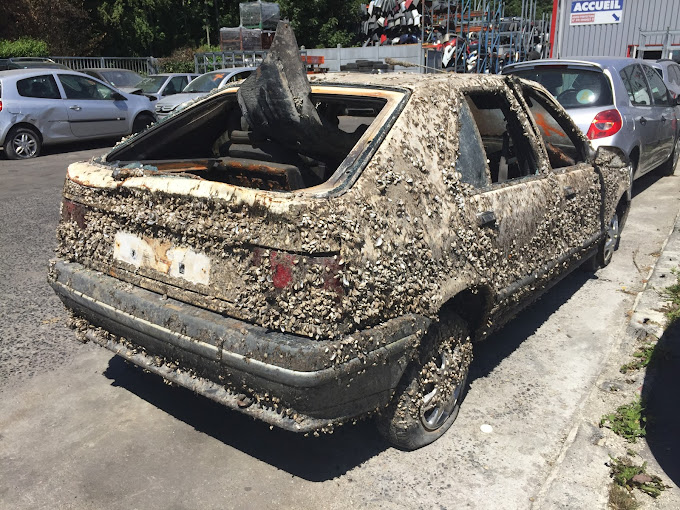 Aperçu des activités de la casse automobile P2AR située à SAINGHIN-EN-MELANTOIS (59262)